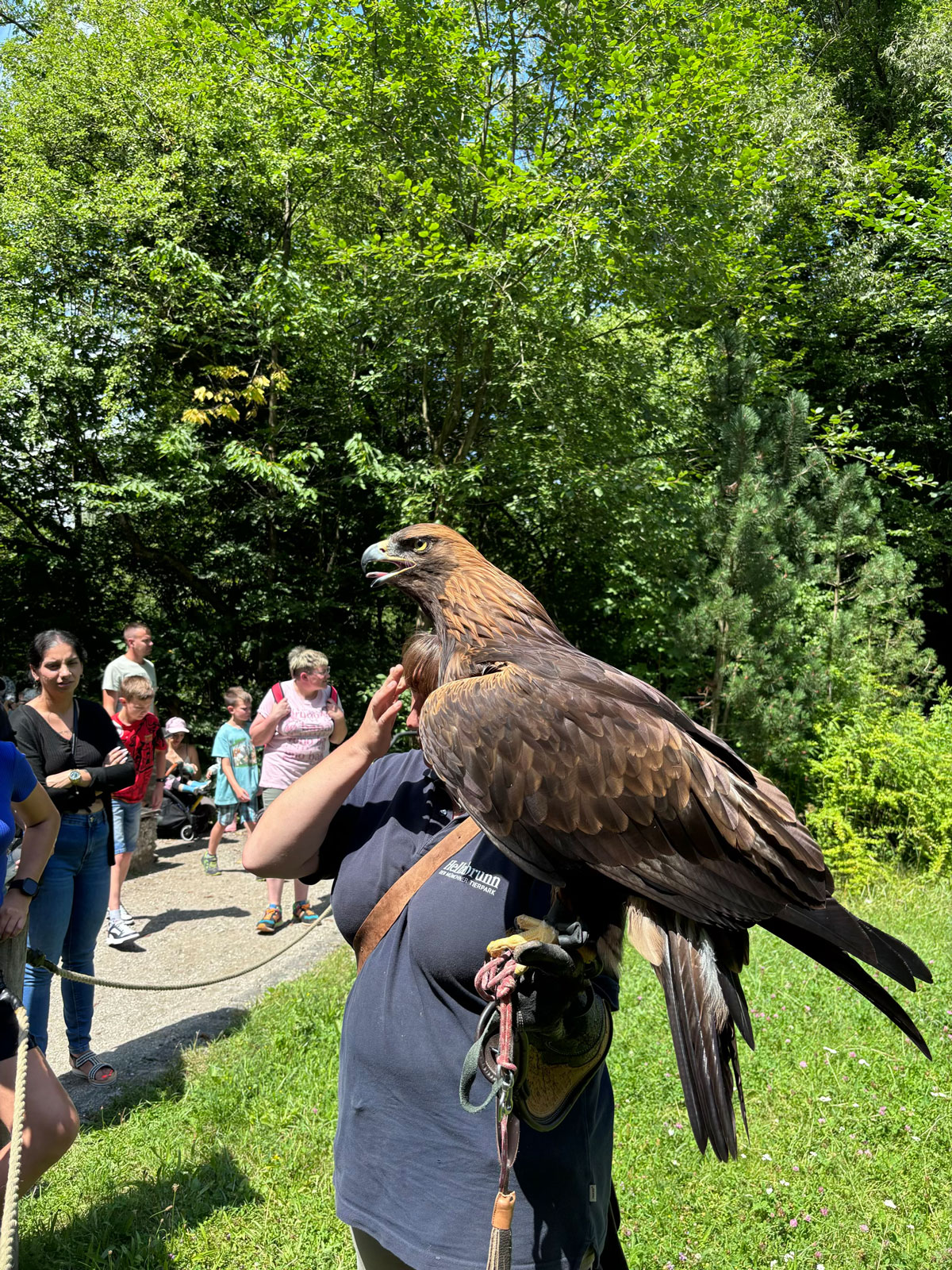 Artenvielfalt - live im Zoo Hellabrunn