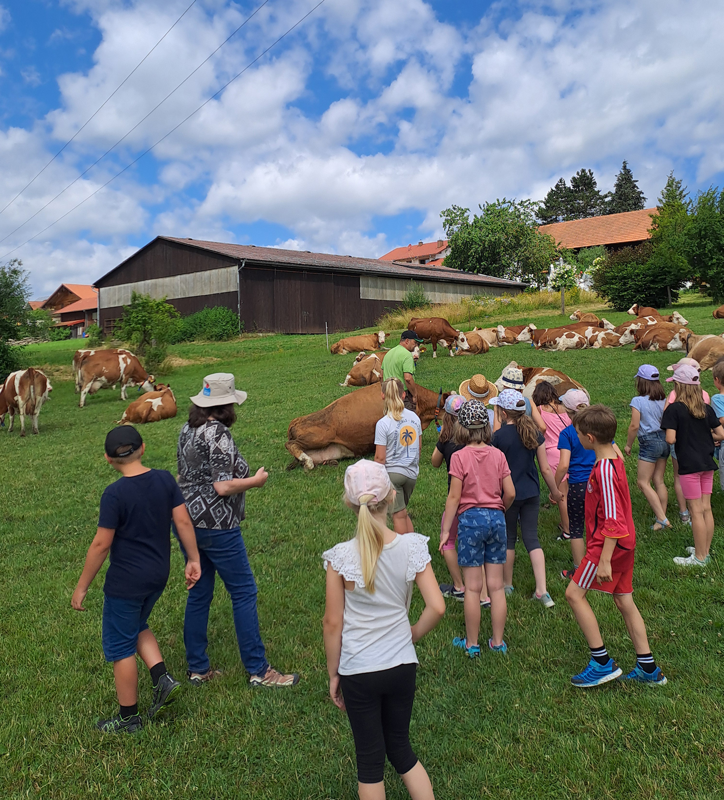 Bauernhof statt Klassenzimmer